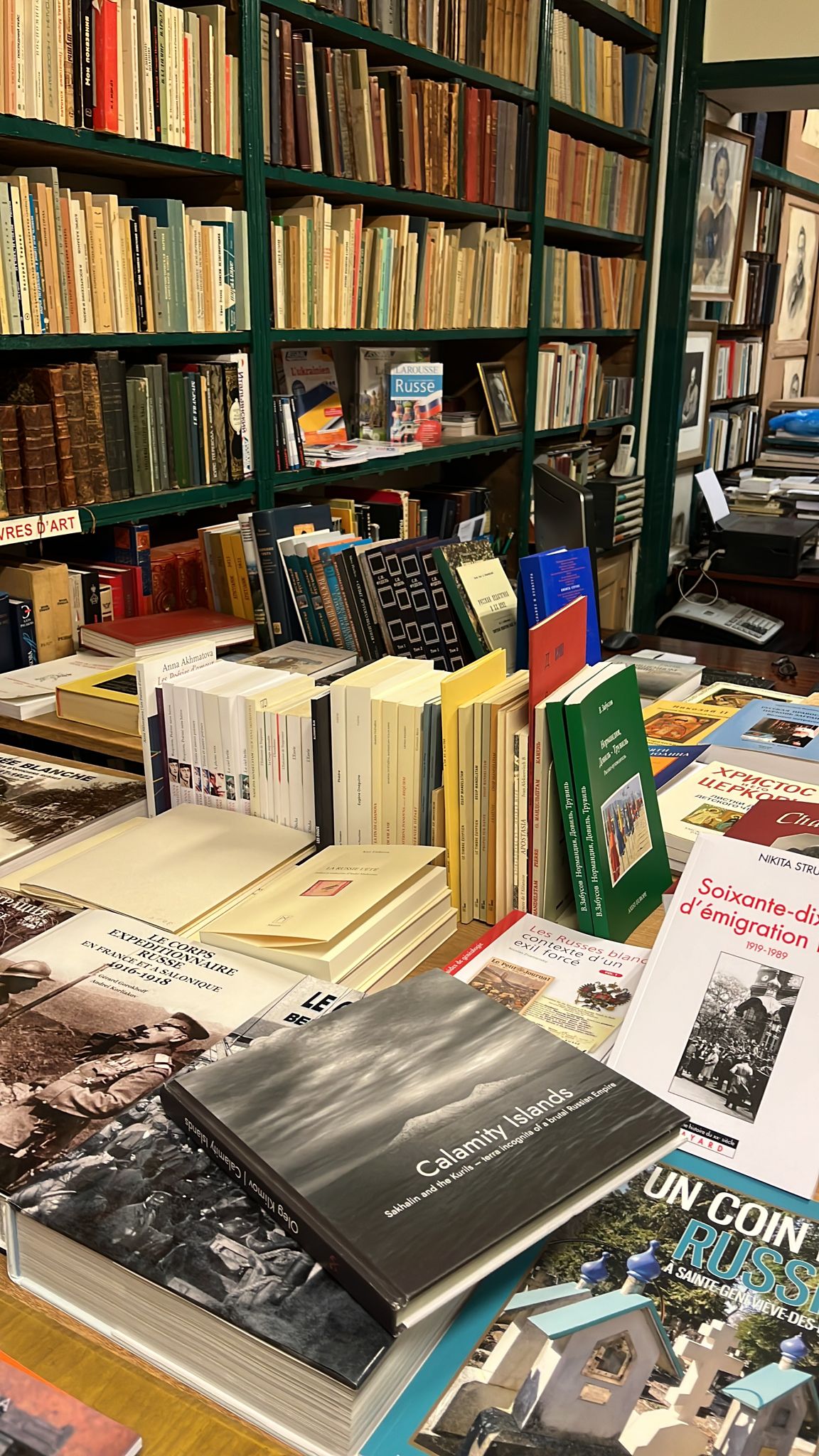 В книжном магазине Les Éditeurs Réunis Calamity islands book, Oleg Klimov